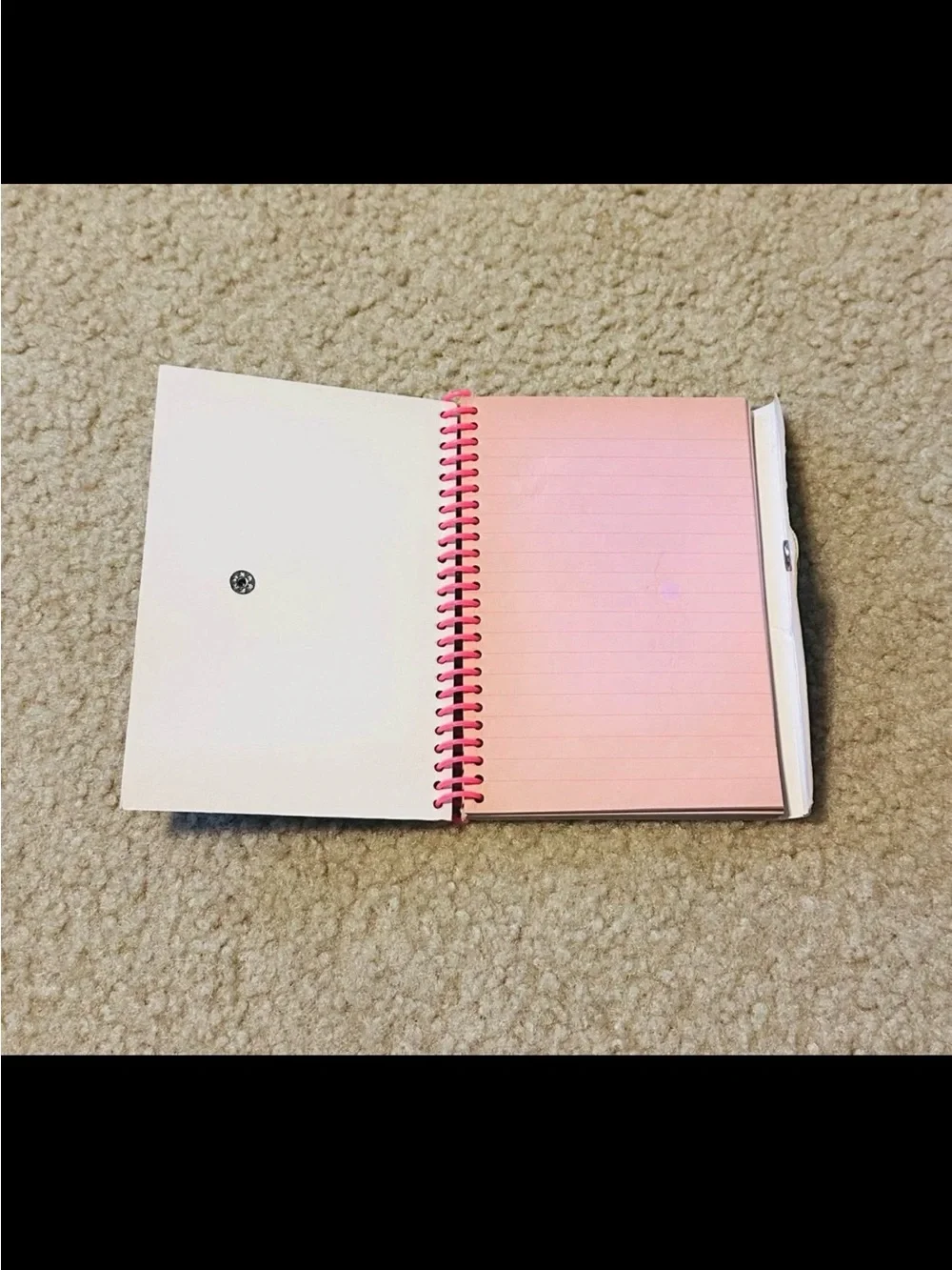 Vintage Lisa Frank Dolphins Notebook